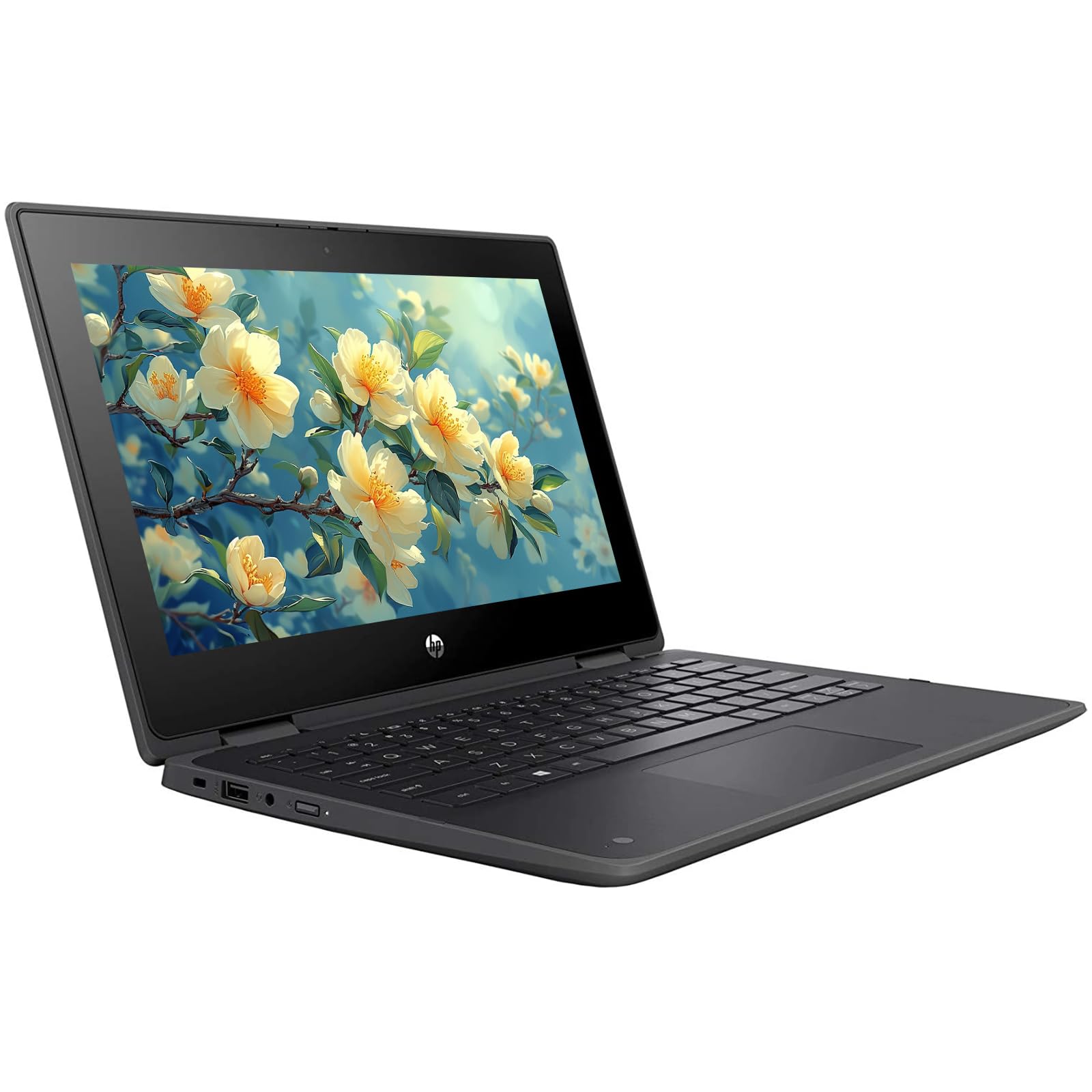 Amazon.com: HP ProBook x360 11 G6 EE 2-in-1 Laptop, 11.6-inch